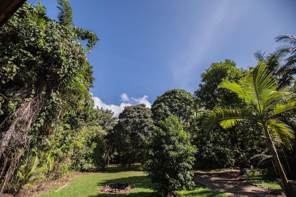 Cape Tribulation Holiday House Exterior foto
