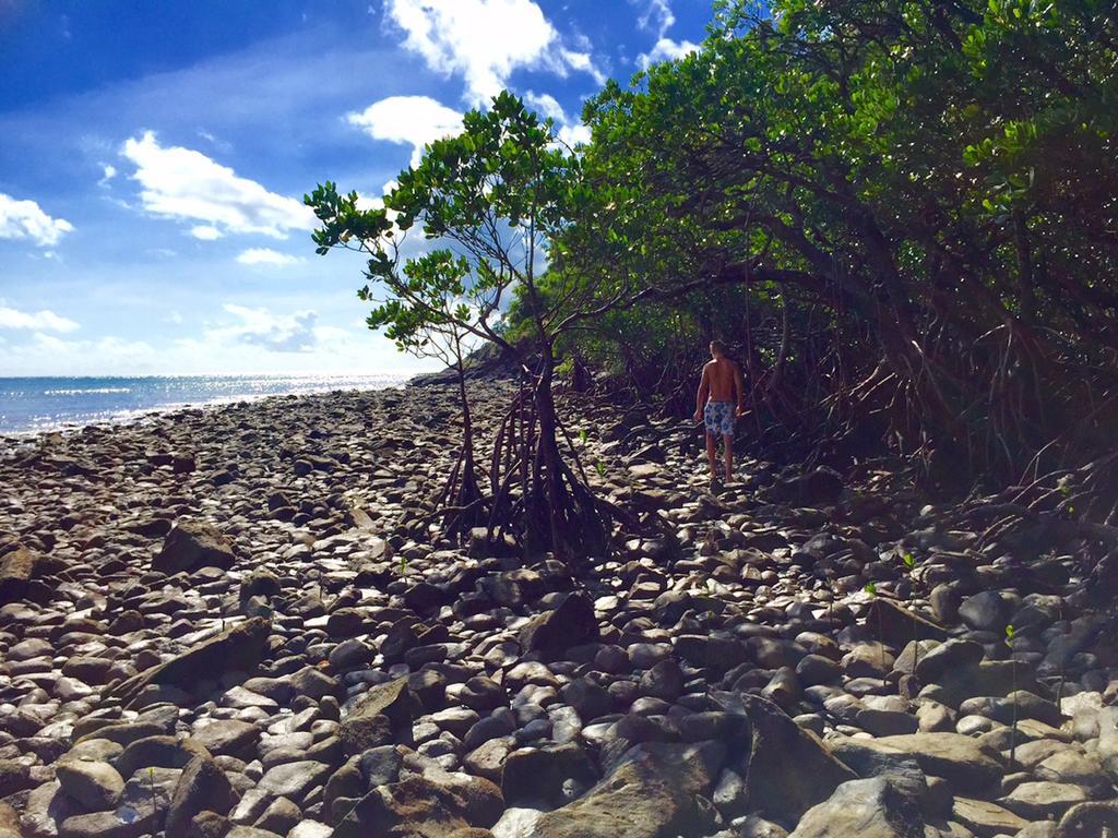 Cape Tribulation Holiday House Exterior foto